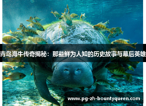 青岛海牛传奇揭秘：那些鲜为人知的历史故事与幕后英雄